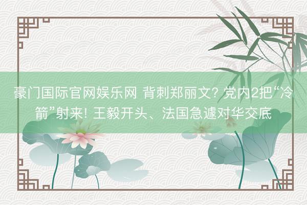 豪门国际官网娱乐网 背刺郑丽文? 党内2把“冷箭”射来! 王毅开头、法国急遽对华交底