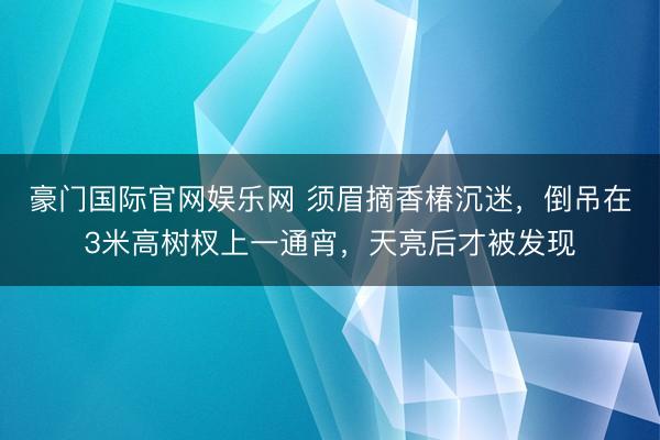 豪门国际官网娱乐网 须眉摘香椿沉迷，倒吊在3米高树杈上一通宵，天亮后才被发现