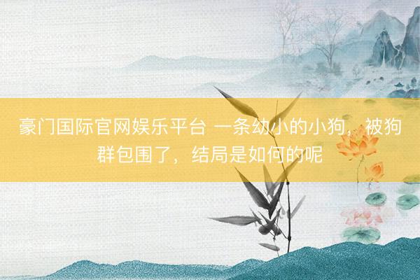 豪门国际官网娱乐平台 一条幼小的小狗，被狗群包围了，结局是如何的呢