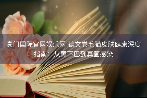 豪门国际官网娱乐网 德文卷毛猫皮肤健康深度指南：从黑下巴到真菌感染