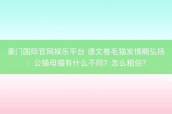 豪门国际官网娱乐平台 德文卷毛猫发情期弘扬：公猫母猫有什么不同？怎么粗俗？