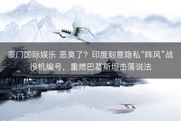 豪门国际娱乐 恶臭了？印度刻意隐私“阵风”战役机编号，重燃巴基斯坦击落说法
