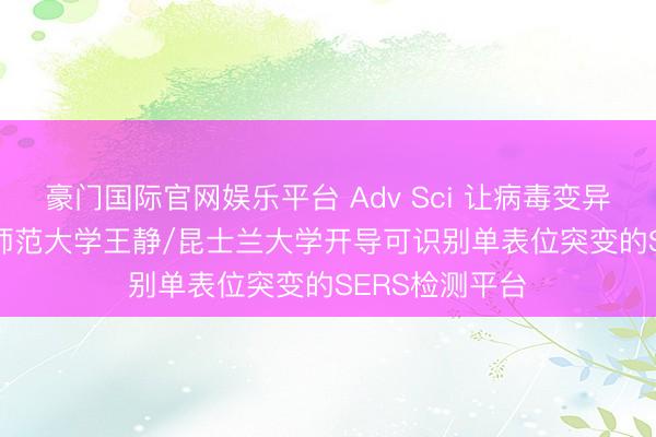 豪门国际官网娱乐平台 Adv Sci 让病毒变异“现形”! 福建师范大学王静/昆士兰大学开导可识别单表位突变的SERS检测平台