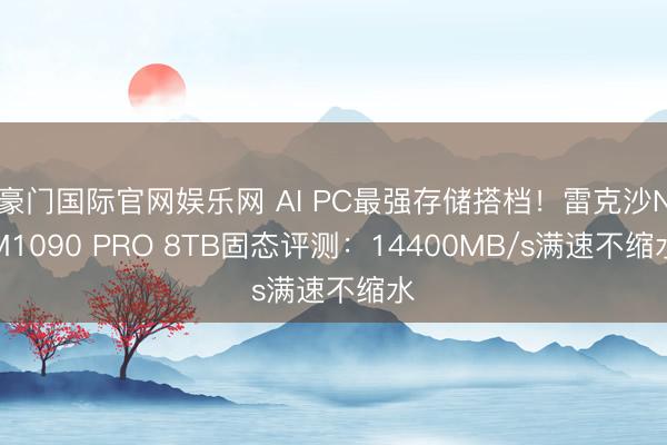豪门国际官网娱乐网 AI PC最强存储搭档！雷克沙NM1090 PRO 8TB固态评测：14400MB/s满速不缩水